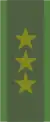 KaptenSwedish Army