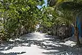 Sandy streets of Holbox