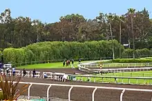 Santa Anita Park track