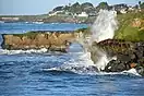 Santa Cruz coastline