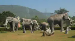 Sappraiwan elephant sanctuary