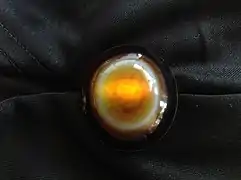 Sardonyx stone