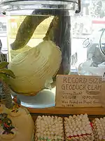 An ostensibly record-setting geoduck, Ye Olde Curiosity Shop, Seattle, Washington.