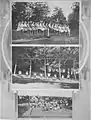 Three images of playgrounds in Seattle from The Argus 1909 Alaska-Yukon-Pacific Exposition special issue.