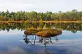 Selisoo Bog Lake