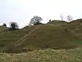 Quarries on Selsley Common