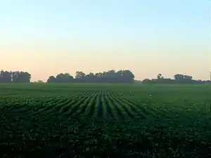 Fields in Argentina