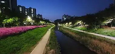 Looking upstream along the Daewol Bridge, 2023