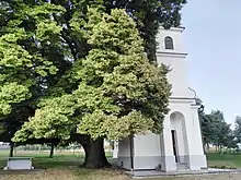 Church of St. Panteleimon, Mirkovci