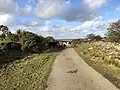 Horses at the top of the lane through Sharptor