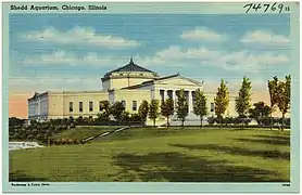 Shedd Aquarium, Chicago, Illinois