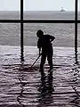 Cleaning a habitat in the Oceanarium