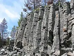 Columnar basalt at Sheepeater Cliff