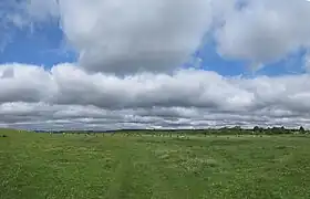 Grassy flatlands with rolling hills in Drohobych Raion