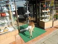 Outside of a store on the island of Miyajima