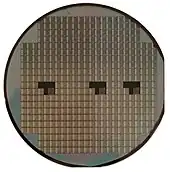 A silicon wafer; individual devices (VLSI in squares) are not usable until diced, wire-bonded, and packaged