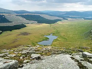 Silver Flowe from Dungeon Hill