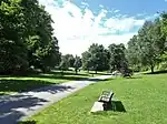 a grass area with a path through it, in the background are trees, a park bench is in the foreground.