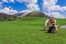 Payee meadows in Shogran, Kaghan Valley