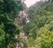 View of Siruvani falls from path towards falls