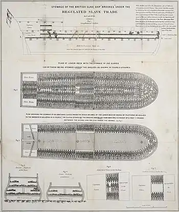 A plan of the slave ship Brookes, showing the extreme overcrowding experienced by enslaved people on the Middle Passage