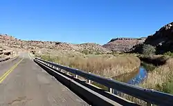 Dolores River with Slick Rock in distance.