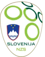 Shirt badge/Association crest