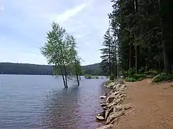 Jenkinson Lake near Sly Park