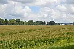 Farmland north of St. Louisville