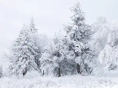 Snow in Bulgaria