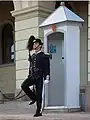 Guardsman on sentry duty at the Royal Palace in Oslo