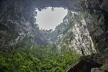 The massive second doline in Hang Sơn Đoòng is so large that trees grow inside.