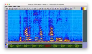 Spectrogram (generated with the freeware Sonogram visible Speech).