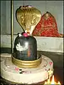 Sri Kedareshwar Mahadev