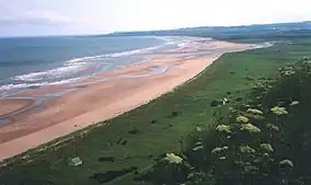 St Cyrus Beach