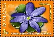 On a 2010 Romanian postage stamp