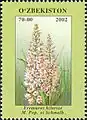 Uzbek postage stamp depicting E. hilariae (one of series devoted to the wildflowers of Uzbekistan)