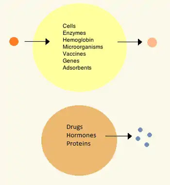 Two types of artificial cells, one with contents meant to stay inside, the other for drug delivery and diffusing contents.