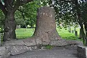 Fossil of Sigillaria trunk attached to a stigmarian root system (lycopsid rhizomes)