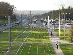 Double tracks in grass