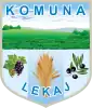 Official logo of Lekaj