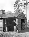 Boiling cane syrup