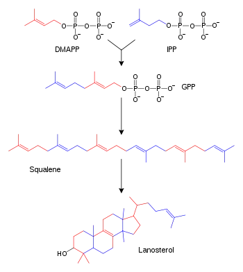 Chemical-diagram flow chart