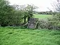 Alternative 19th century concrete stile (v-2) mass path, Ranaghan