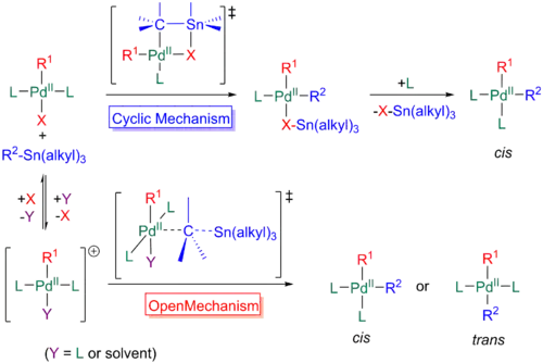 The two mechanisms, cyclic and open, of transmetallation in the Stille reaction