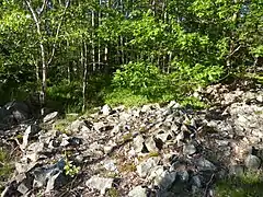 Modern-day stone quarry in the western part of Fräntorp on May 31,2020.