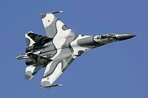 Sukhoi Su-27  359 Units