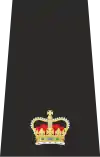 Isle of Man Police Superintendant Epaulette