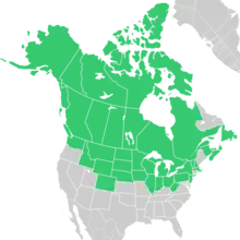 Symphyotrichum boreale native distribution: Canada — Alberta, British Columbia, Manitoba, New Brunswick, Newfoundland, Northwest Territories, Nova Scotia, Nunavut, Ontario, Prince Edward Island, Québec, Saskatchewan, and Yukon; US — Alaska, Colorado, Idaho, Illinois, Indiana, Iowa, Massachusetts, Michigan, Minnesota, Montana, Nebraska, New Hampshire, New Jersey, New York, North Dakota, Ohio, Pennsylvania, South Dakota, Vermont, Washington, West Virginia, Wisconsin, and Wyoming