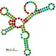 TLS-PK3:  Secondary structure taken from the Rfam database. Family RF01084. Derived from Pseudobase PKB00134 PKB00136  PKB00137.